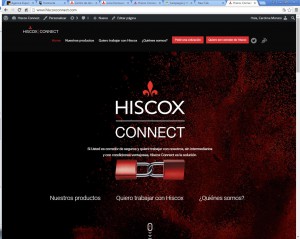 Hiscox Connect ene 16