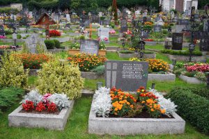 Recurso cementerio con flores oct 16