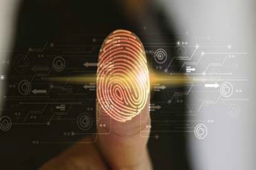 protección de la identidad digital