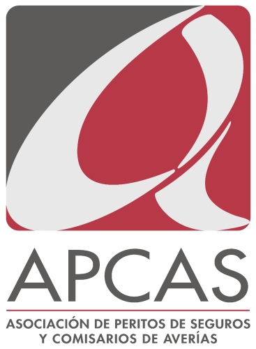 La Comisión de Gobierno de Apcas se reúne por videoconferencia.