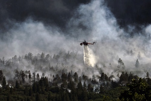 España en llamas: ¿quién cubre los daños de los incendios forestales?