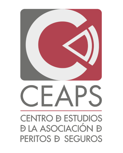 Curso Ceaps en Granada: Daños en industrias y negocios