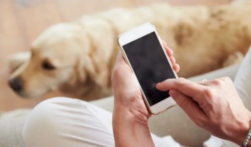 Mapfre mascotas Tucan noticias de seguros