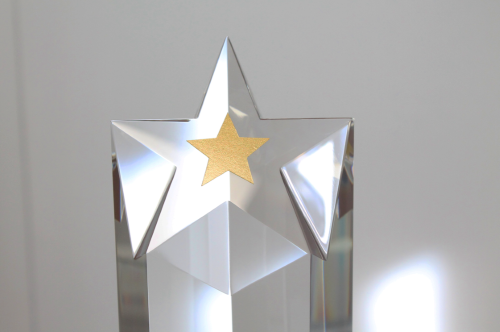 ADECOSE concederá los Premios Estrella 2021 en el tradicional almuerzo con sus socios, compañías aseguradoras e instituciones del sector.