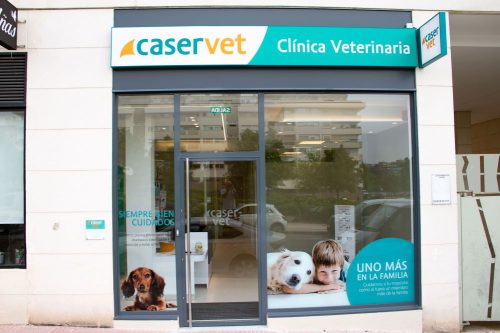 Caservet inaugura una nueva clínica en Las Tablas (Madrid) y lanza un nuevo servicio veterinario a domicilio.