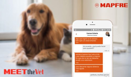 Mapfre ofrece a sus clientes acceso a un chat con veterinarios para el cuidado de la salud de sus mascotas.