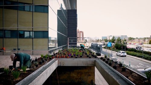 Sanitas ha construido una cubierta verde en su hospital de La Moraleja completando así la oferta de soluciones basadas en la naturaleza.