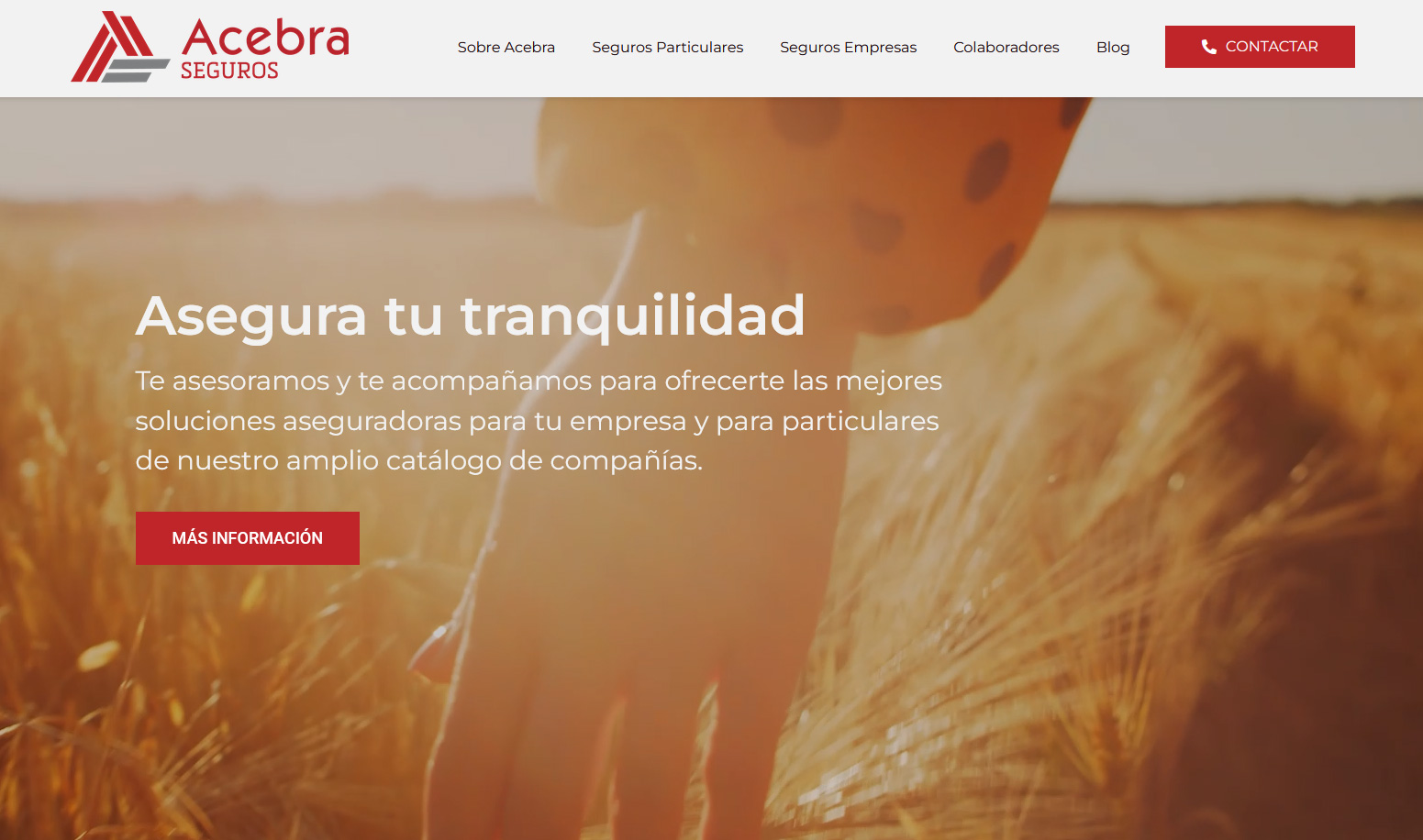 Acebra renueva su web y aspira a ser una correduría “top” en España.