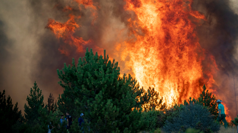 Fundación Inade informa de cómo actuar si un incendio forestal afecta a nuestra vivienda o negocio.