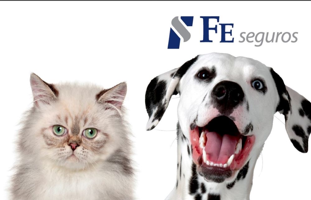 Dentro de FE Mascotas, FE seguros pone a disposición de los asegurados una red de más de 450 clínicas veterinarias concertadas.
