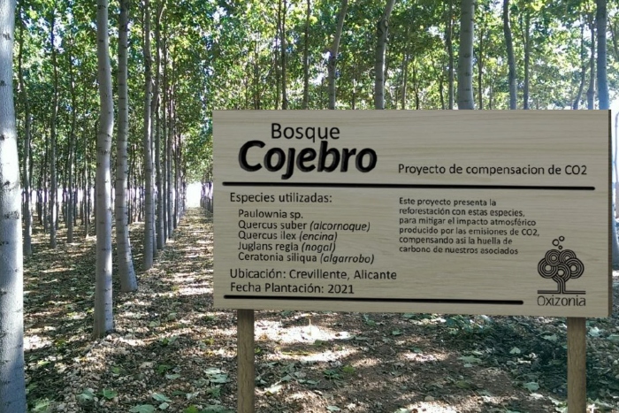 Cojebro incorpora a Bróker Ortiz, Gesa y López Torrijos.