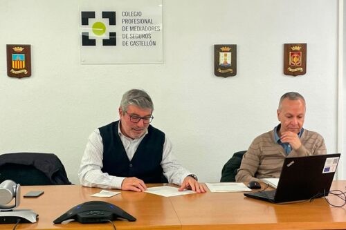 Los mediadores de Castellón aprenden sobre Declaración Estadístico Contable 2022