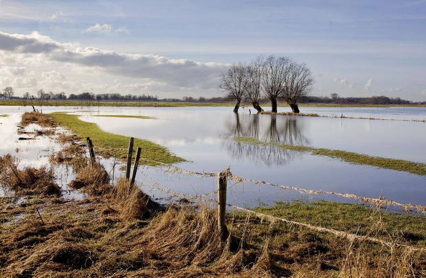 Allianz activa un plan de acción especial ante la DANA que afecta a Andalucía y las intensas lluvias en Murcia y Navarra.