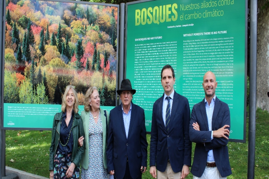 Fundación AXA presenta en Madrid una exposición sobre los bosques