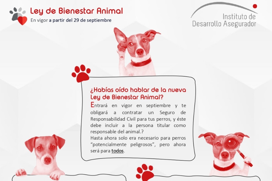 Ley de Bienestar Animal: Cómo asegurar a tu perro o mascota