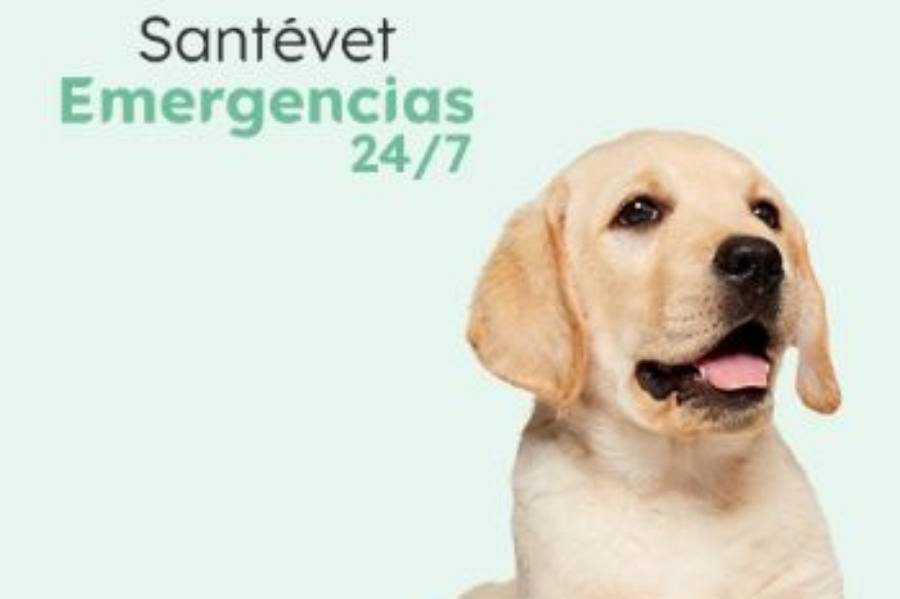 Santévet Emergencias 24/7 es el nuevo servicio de urgencias veterinarias de la aseguradora