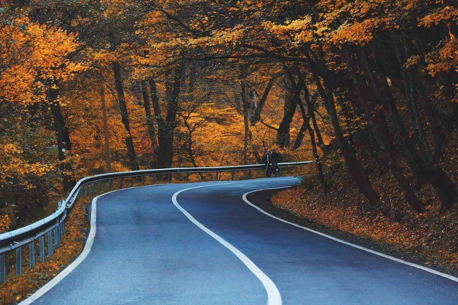 Los 6 consejos de Midas para conducir seguro en otoño y evitar accidentes