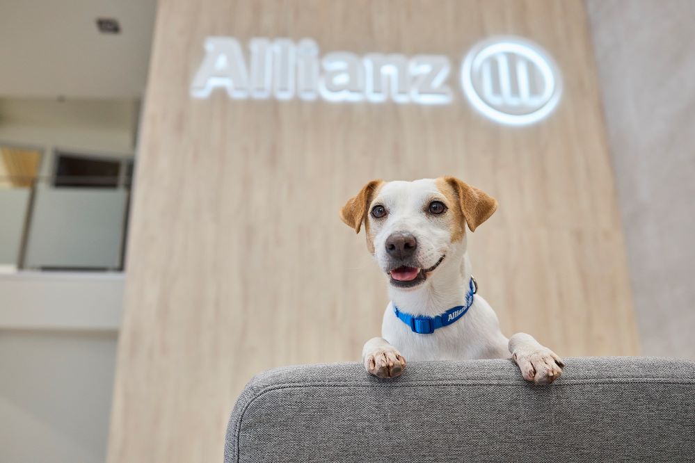 Pipper, el perro influencer, nuevo embajador de Allianz Seguros.