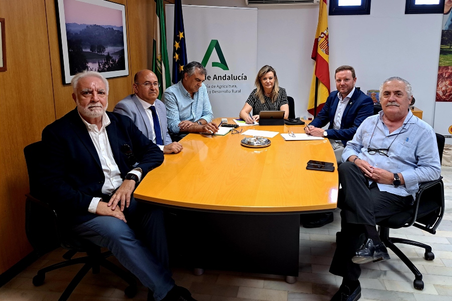 El Consejo Andaluz analiza las dificultades de aseguramiento en la industria
