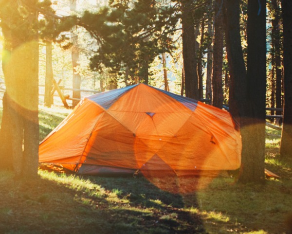 Seguros para campamentos de verano: protección para los más pequeños