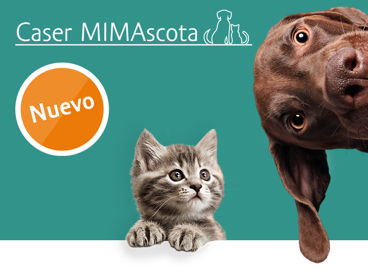 Caser Seguros amplía su oferta con MIMAscota, un seguro integral para perros y gatos