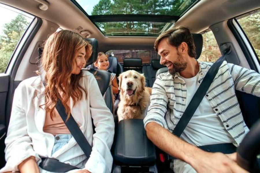 El coste medio del seguro de coche en España se sitúa en 410,47 euros/año