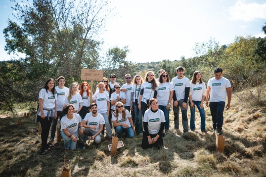 Voluntarios de Caser plantan un bosque en Venturada