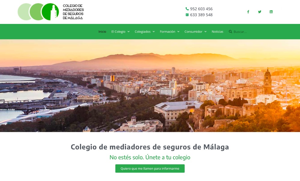 La Junta de Gobierno del Colegio de Málaga invita a todos los colegiados a participar en este proceso electoral, reafirmando el compromiso colectivo con la representación y el fortalecimiento de la institución.