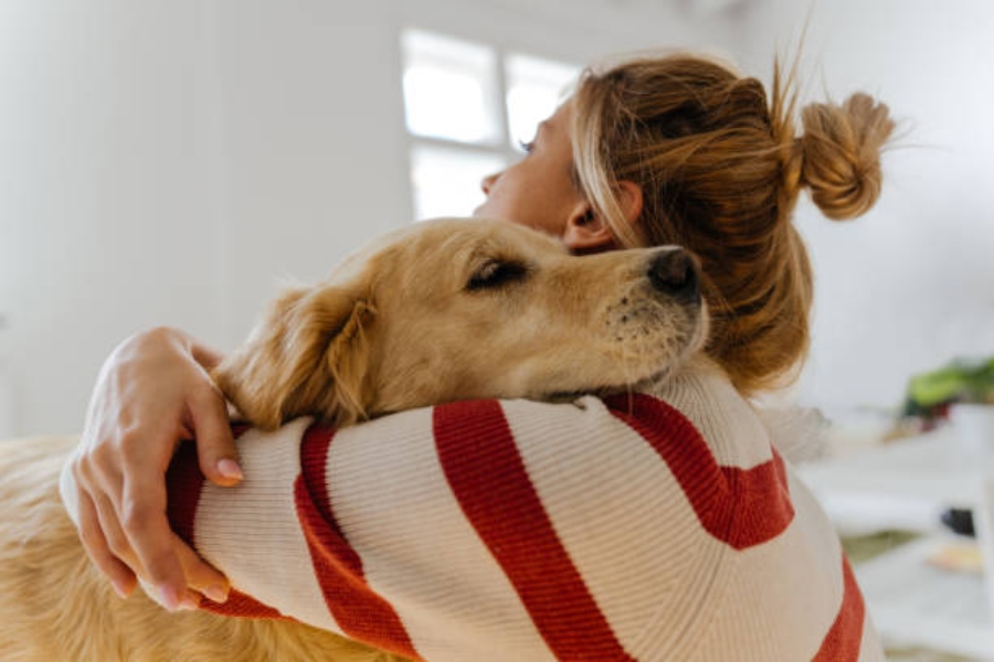 ómo influyen las mascotas en las decisiones de vida de los españoles