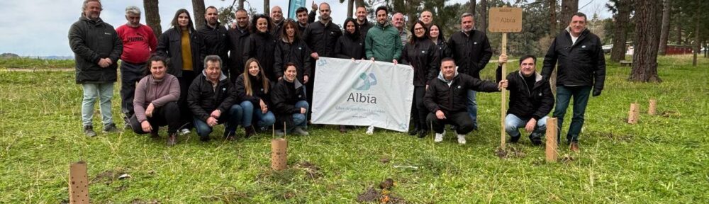 Grupo Albia y Bosquia reforestan media hectárea en A Coruña como parte del proyecto de sostenibilidad 'Bosque Albia'.