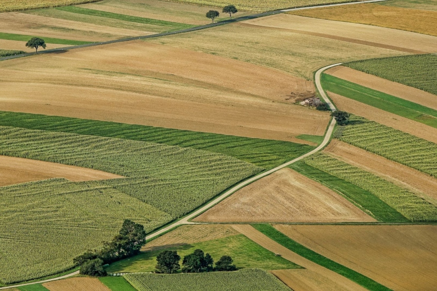 MAPFRE celebra la primera reunión del Consejo Asesor Agropecuario 2025