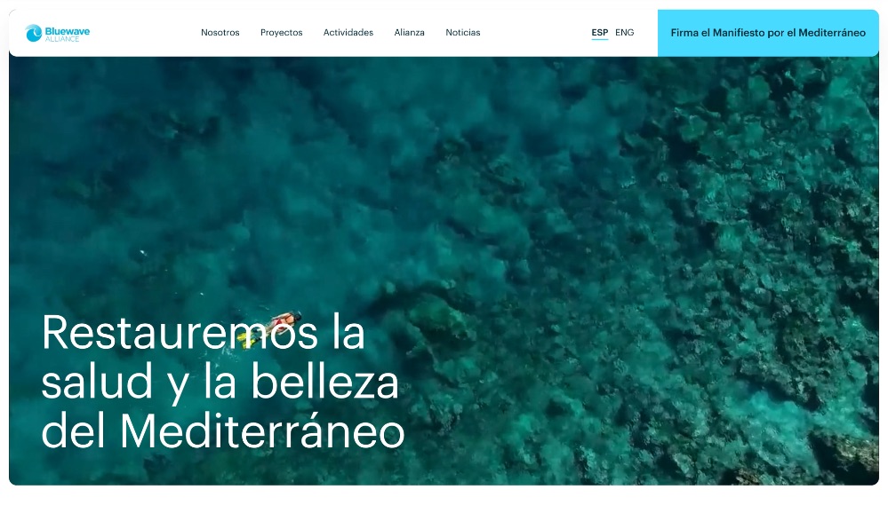 Caser Seguros se une a Bluewave Alliance para proteger el mar Mediterráneo y reforzar su compromiso con la sostenibilidad