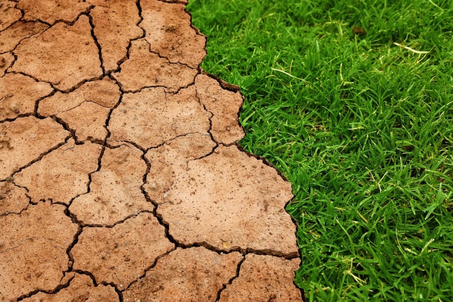 Jornada ClimaMind 2025: seguros y eventos climáticos