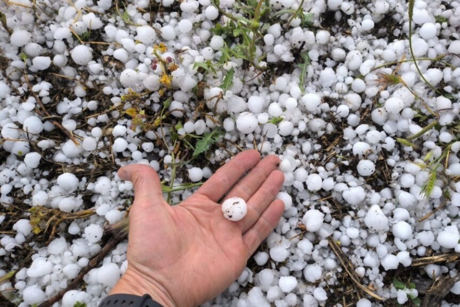 Agroseguro: el pedrisco arrasa más de 204.000 hectáreas en mayo