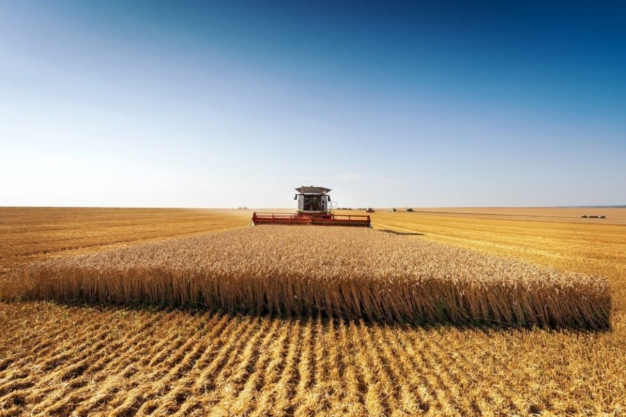 Agroseguro recuerda que el 15 de junio finaliza el plazo de aseguramiento de cultivos herbáceos