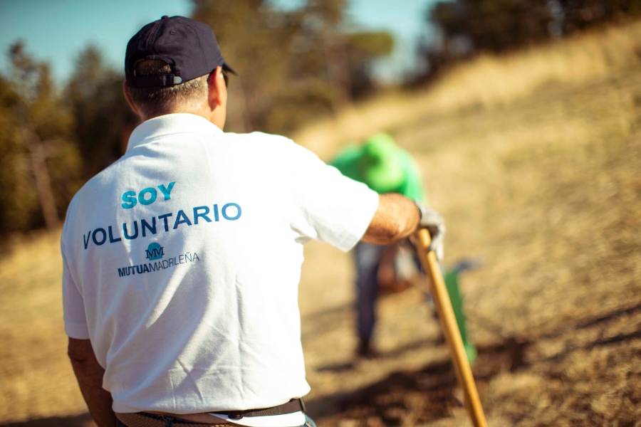 Fundación Mutua convoca los XIII Premios al Voluntariado Universitario