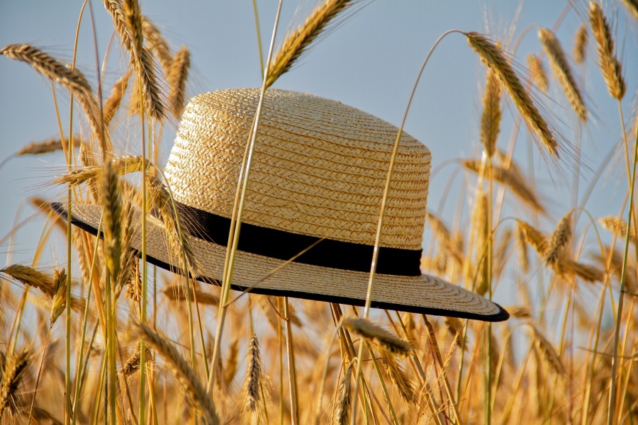 El estrés térmico impacta en la salud cutánea durante las olas de calor
