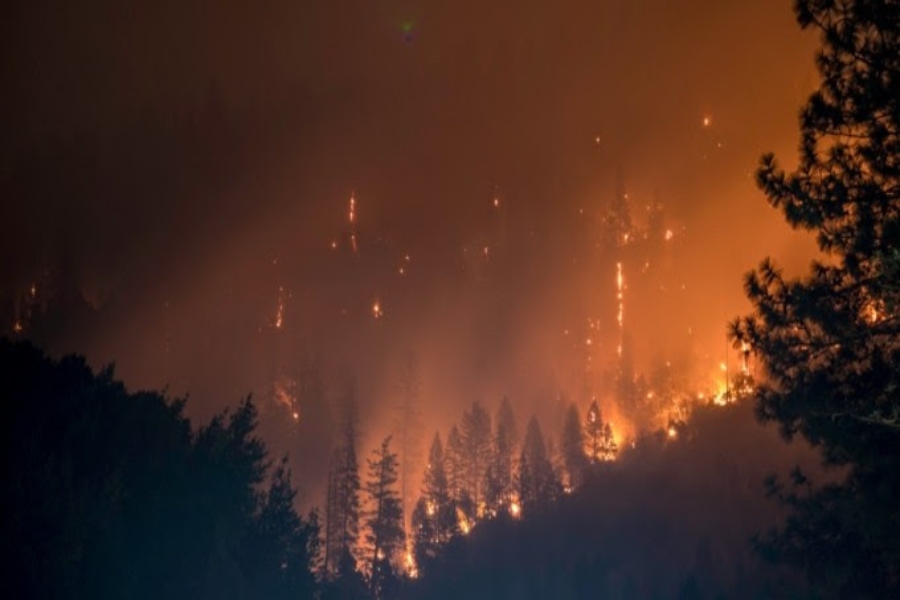 Allianz activa un protocolo especial por los incendios forestales