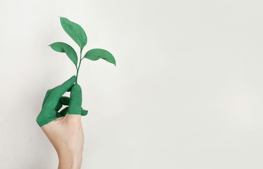 Los seguros verdes ganan impulso: más del 40% de directivos los ve clave ante la demanda sostenible y los riesgos del cambio climático.