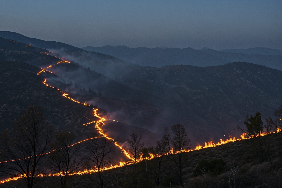 Cómo reclamar el seguro ante los incendios forestales