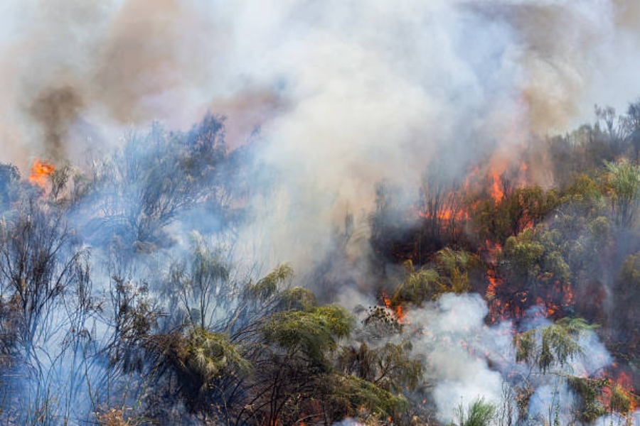 Los incendios ponen en evidencia la importancia del seguro de hogar