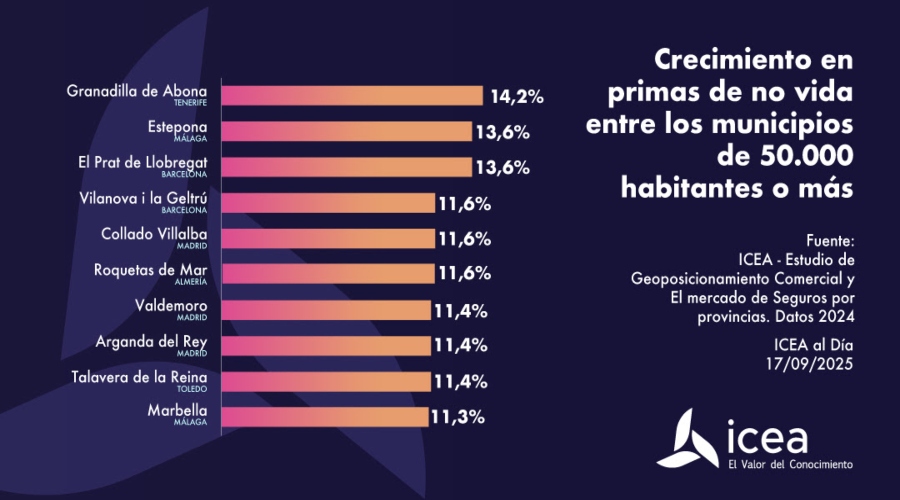 El volumen de primas del seguro directo cayó un 1,58% en 2024