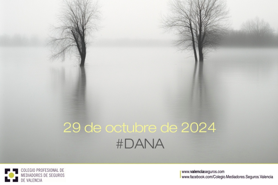 El Colegio de Valencia conmemora el aniversario de la DANA de 2024 con un mensaje de solidaridad