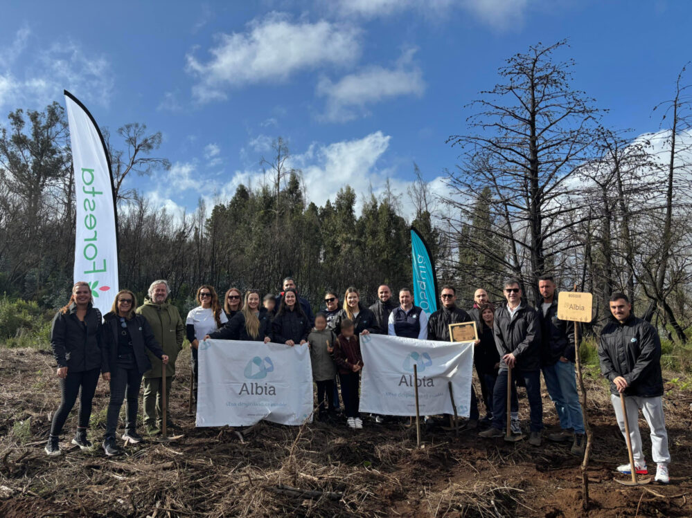 Grupo Albia reforesta un entorno degradado en Tenerife para recuperar biodiversidad y prevenir incendios dentro de la iniciativa Bosque Albia