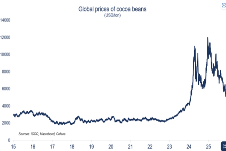 El precio del cacao se desploma un 45 % desde enero