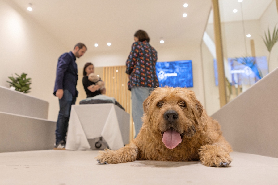 Grupo Albia y Áltima presentan Artemis