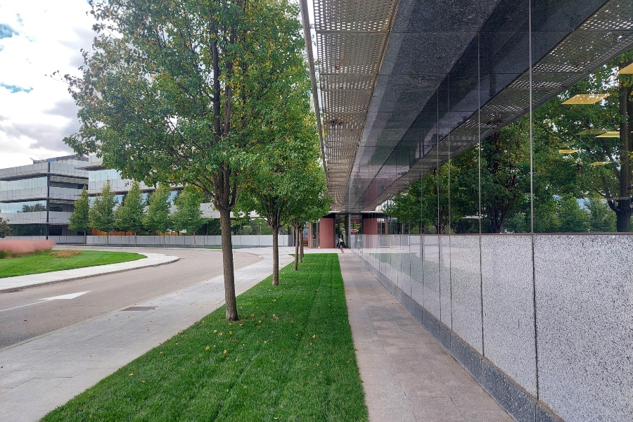 Mapfre renueva su acuerdo con Lobelia Earth