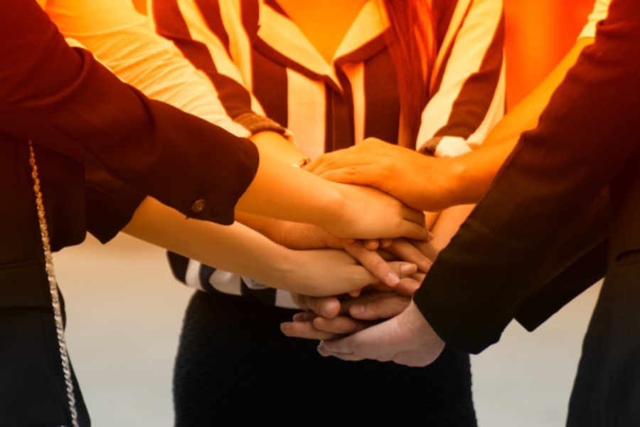 Insurama fortalece su presencia global mediante alianzas con aseguradoras y tecnológicas