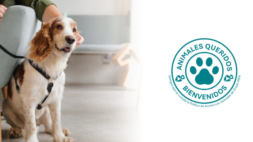 Grupo Albia permite la entrada de animales de compañía en todos sus centros para acompañar a las familias en la despedida