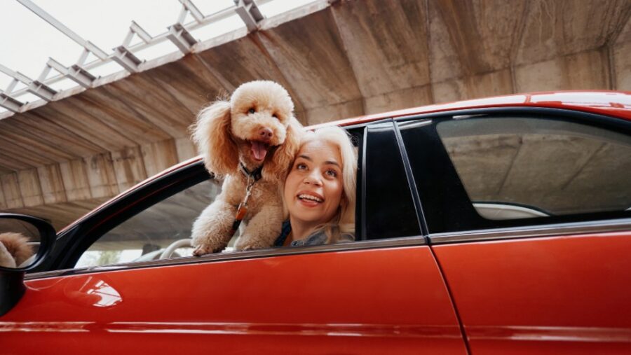 Mapfre presenta ReDrive para proteger a los clientes en las operaciones de compraventa de vehículos de segunda mano entre particulares.